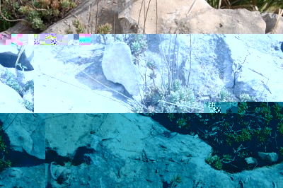 Fette Henne1.JPG (3.27 MiB) 1803 mal betrachtet Sedum acre L.