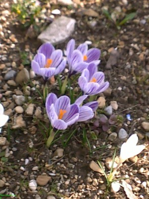 080320144008.jpg