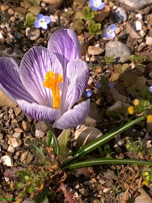 080320144011.jpg