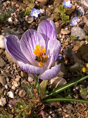 080320144012.jpg