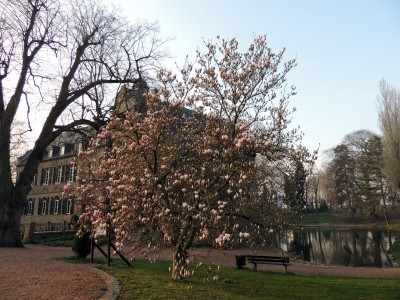 DSCN3544.JPG