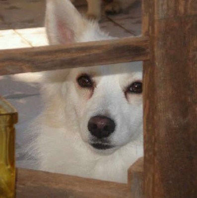 1489253_10202669666693531_259311076_n.jpg (19.25 KiB) 2309 mal betrachtet 1489253_10202669666693531_259311076_n.jpg