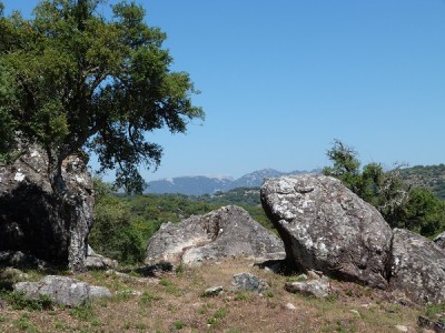 P1040144.JPG
