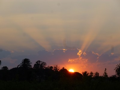 P1000014.JPG