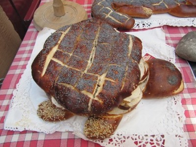 Laugenschildkröte.jpg