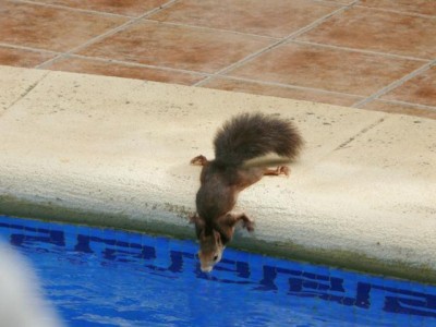 Bist du ein putziges Tierchen!