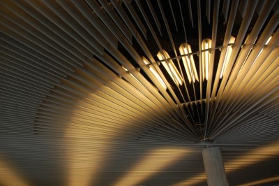 Wo viel Licht ist, ist starker Schatten. J.W.v.Goethe.JPG