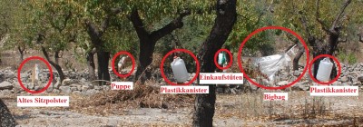 mit Zoom...