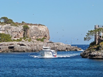 Fischerboot läuft ein