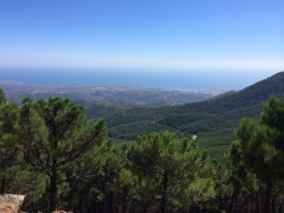 image.jpg (70.37 KiB) 2854 mal betrachtet Von Hoch oben hatten wir einen Herrlichen Ausblick auf Hinterland und Küste, da wurde die Anstrengung immer wieder belohnt!