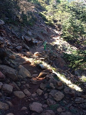 image.jpg (122.34 KiB) 2331 mal betrachtet sind wir hier noch richtig? Ohne meinen wandelnden Fotografenkompass wäre ich lost in Spain gewesen :-) Ab und an half aber auch ein Erklärungsschild, so wie hier.