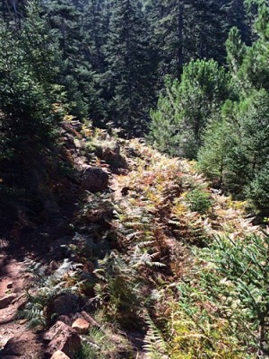 image.jpg (144.52 KiB) 2332 mal betrachtet Der "Wanderweg" war teilweise wirklich abenteuerlich, man ist gut beraten, gutes Schuhwerk anzulegen...