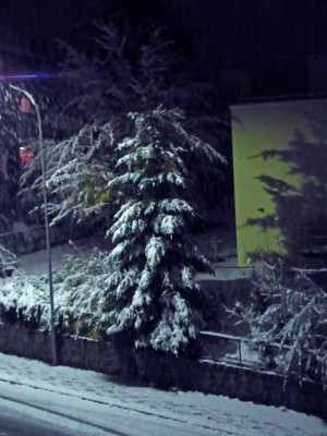 Winter.jpg