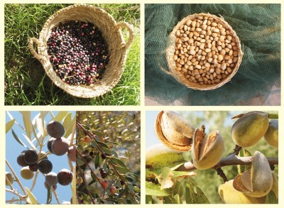 Erntedank im Inland.jpg
