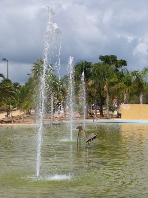 P1330346.JPG