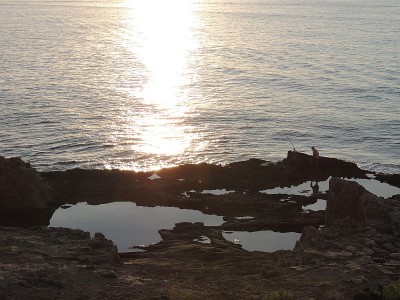 DSCN7961_kl.jpg