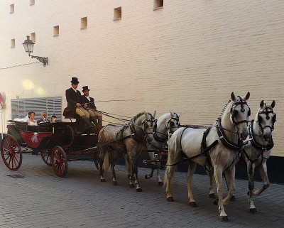 pferde4_1.jpg (110 KiB) 2353 mal betrachtet ... und ein Hochzeitspaar im Vierspänner ...