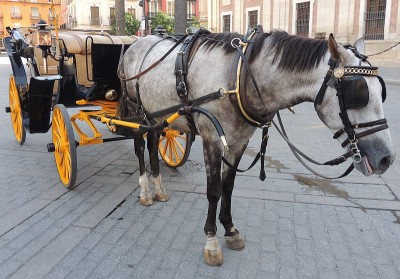 kutsche17.jpg