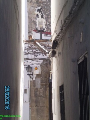 PICT6458.jpg