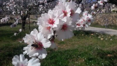 2015-03-01 11.07.09.JPG