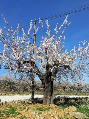 2015-03-01 11.16.23.JPG