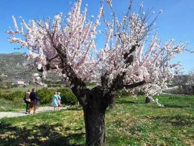 2015-03-01 12.28.00.JPG