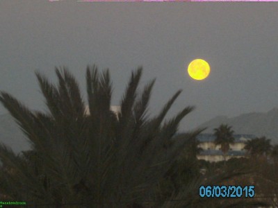 Luna-PICT6717.jpg