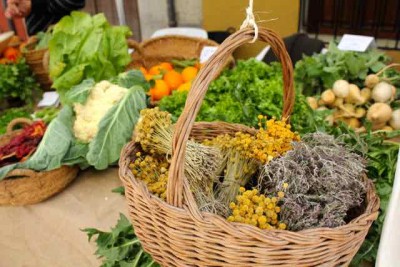 2.jpg (38.29 KiB) 2843 mal betrachtet Kamille und anderes "Gutes: für oder gegen"