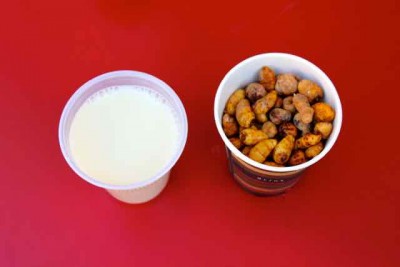 4.jpg (18.45 KiB) 2843 mal betrachtet Horchata und Erdmandel