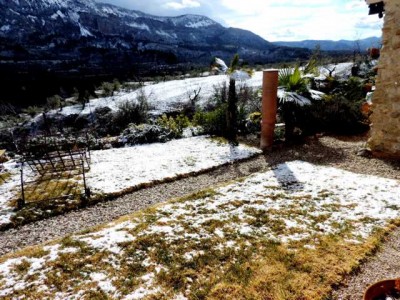 Rasen im Winter.JPG (64.55 KiB) 14325 mal betrachtet Rasen im Winter:<br />Hier habe ich nicht den Rasen fotografiert, sondern den seltenen Schnee, der nur für ein paar Stündchen liegen blieb