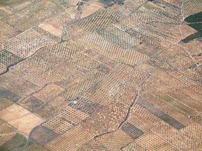 Olivenhaine.jpg (4.04 MiB) 2963 mal betrachtet Das eingestellte Rätselfoto ist ein Ausschnitt aus dieser Luftaufnahme