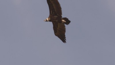 K640_DSC08270.JPG