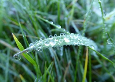 Wassertropfen 02.jpg