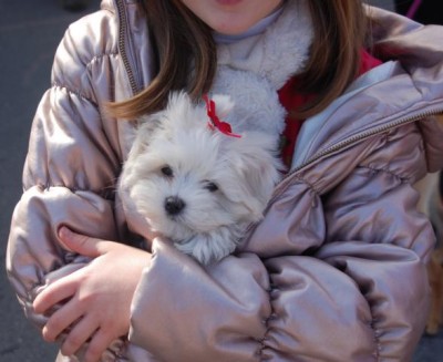 oder warm im Anorak verpackt