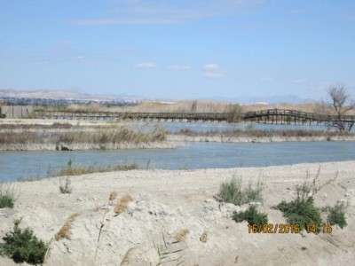 IMG_0006.JPG