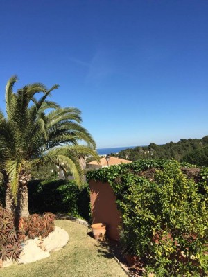 Heute, Denia, 15.00 Uhr