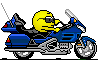 Motorrad0462.gif