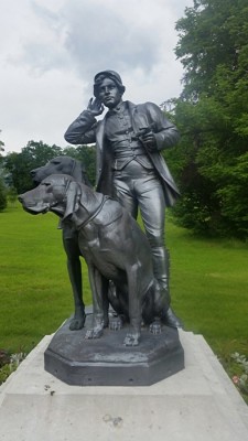 image.jpeg