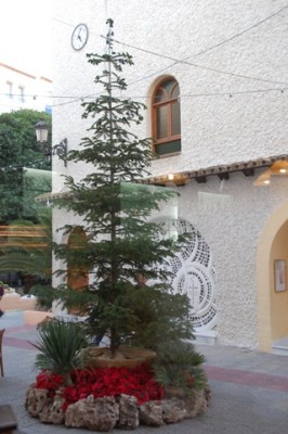 Weihnachtsbaum in Moraira.JPG (128.28 KiB) 22815 mal betrachtet Weihnachtsbaum in Moraira