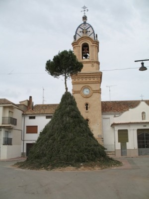 Spanischer Tannenbaum.jpg (57.03 KiB) 22769 mal betrachtet Fotografiert in einem spanischen Dorf
