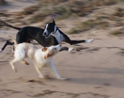 Heute morgen am beinahe verschwundenen Strand in Piles