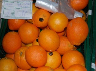 Premium-Orangen.JPG (124.68 KiB) 3812 mal betrachtet Preisschild: Süße, saftige Orangen aus Spanien, Premium-Qualität 1 kg 0,99 € (zum Aussuchen)