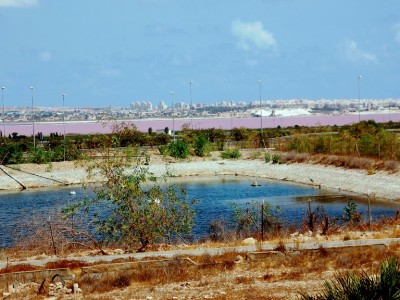 Salinen.JPG (333.82 KiB) 3596 mal betrachtet Blick von Miguel de las Salinas: <br />Im Hintergrund der Salzsee, <br />zum Vergleich im Vordergrund die Farbe eines landwirtschaftlich genutzten Wasserspeichers