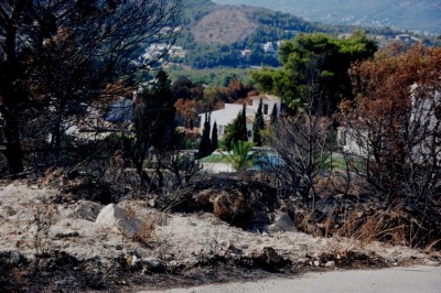 Feuer, das sich wie Lavamasse durch die Landschaft gewühlt hat