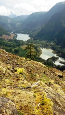 Blick auf Willemar Lake und Forbush Lake