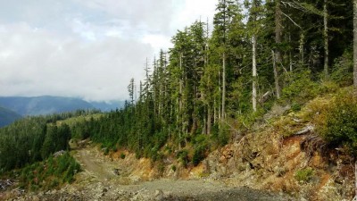 Ein Highway in den Bergwäldern