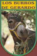 burrosdegerardo.JPG