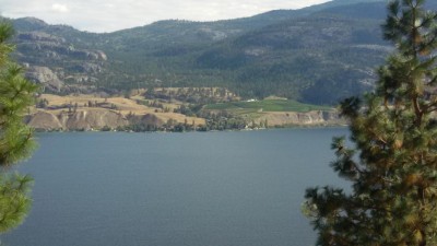 links die karge unbewässrte Landschaft, rechts Weinfelder