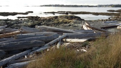 Auch in Victoria sehen die Strände etwas &quot;wild&quot; aus.