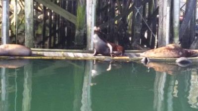 20160929_100726.JPG